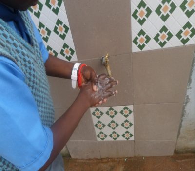 Member states unanimous on hand washing as a major health remedy in disease prone Africa.
