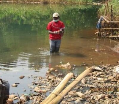 Science And Policies Of Managing Wild Dumps In The Commune Of Ibadan DRC. What We Found